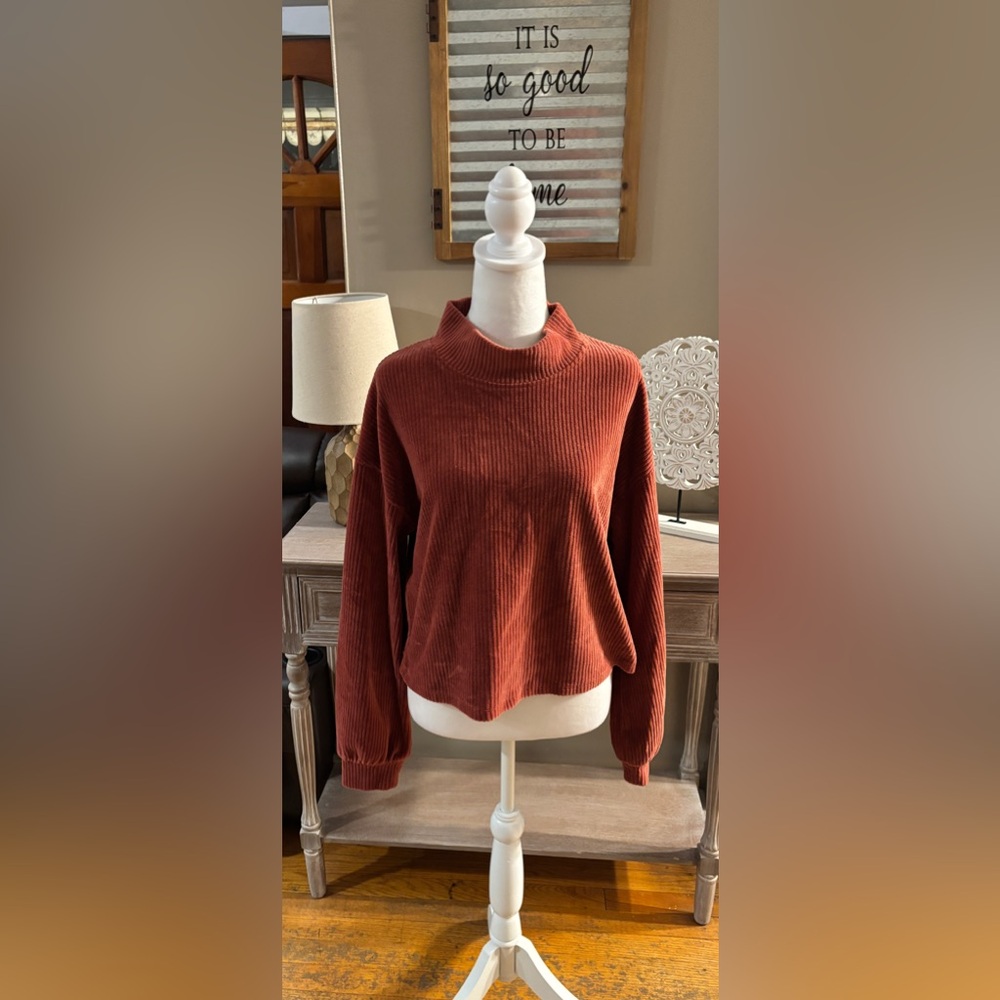Altar'd State Rust Ribbed Velour Top